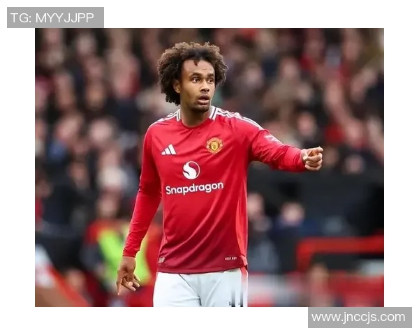 皮衣足球明星的魅力与风格解析及其在球场上的传奇表现